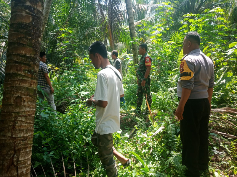 Mengantisipasi Kebakaran Lahan dan Hutan, Babinsa Koramil 05/Gas Koptu Suryadi Bersama Masyarakat Melaksanakan Kegiatan Patroli Karlahut