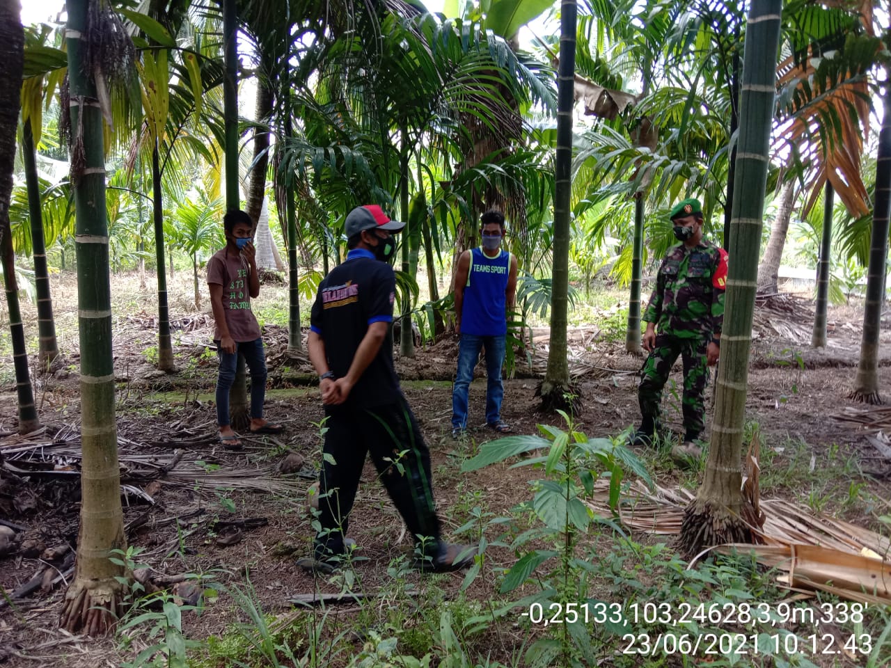 Patroli Karlahut Gencar Dilaksanakan Oleh Babinsa Koramil 12/Batang Tuaka 
