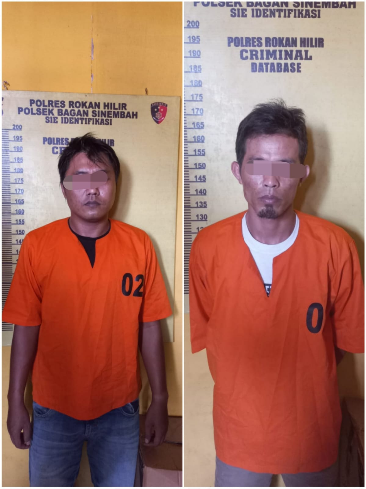 Lagi, Polsek Bagan Sinembah Ringkus 2 Orang Diduga Pelaku Penyalahgunaan Sabu di Simpang Riset