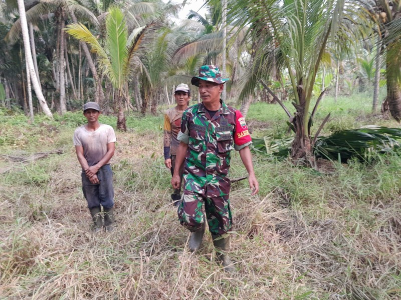 Babinsa Pelda Nofiandi: Patroli Mencegah Potensi Kebakaran Hutan dan Lahan
