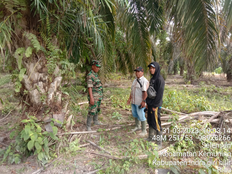 Sosialisasi Karhutla Babinsa Koramil 09/Kemuning di Wilayah Binaan