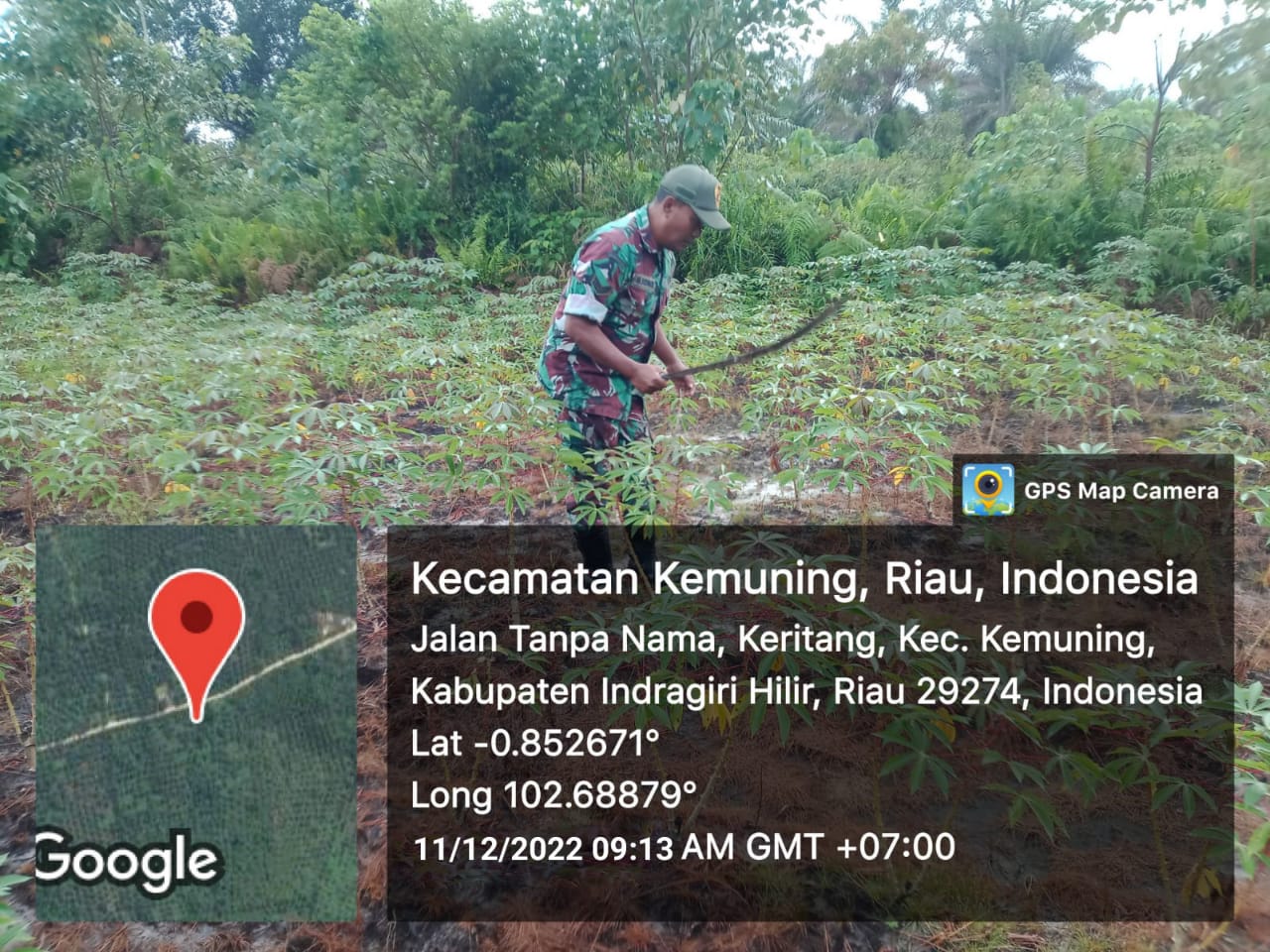 Upaya Perkembangan Gulma Bersama Babinsa Koramil 09/Kemuning