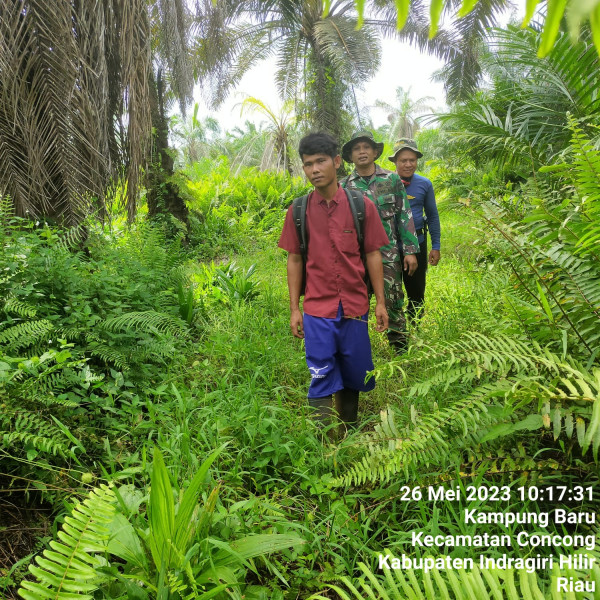 Jaga Kebersihan Pelepah Kelapa Demi Keamanan Bersama Babinsa Koramil 04/Kuindra dan Warga