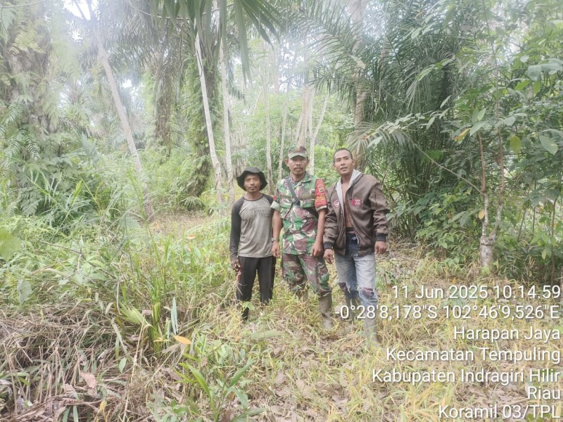Babinsa Kopka RH Tambunan Pastikan Wilayah Harapan Jaya Bebas dari Karhutla