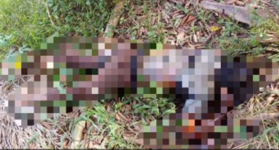 Cekcok, Siswa SMK Dibunuh dan Dirampok Temannya Sendiri, Mayatnya Dibuang