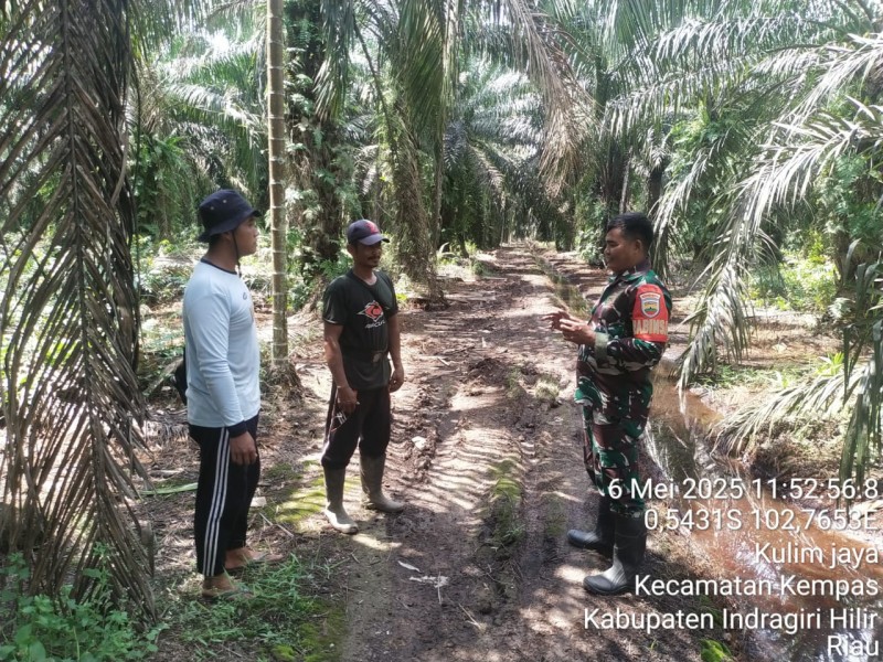 Patroli Kopda Jalaluddin, Wujud Kesiapsiagaan Babinsa dalam Mencegah Karhutla