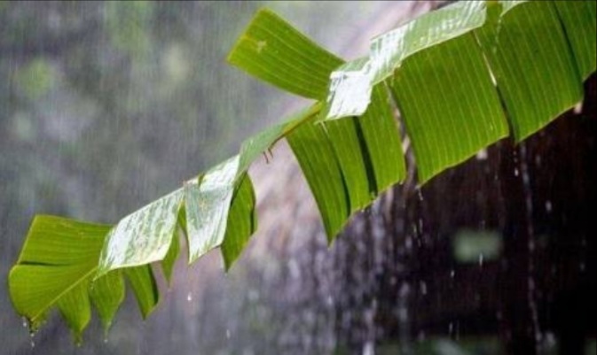 CUACA RIAU: Kata BMKG Siang Ini Pekanbaru Hujan, Inhu dan Inhil Cek Disini
