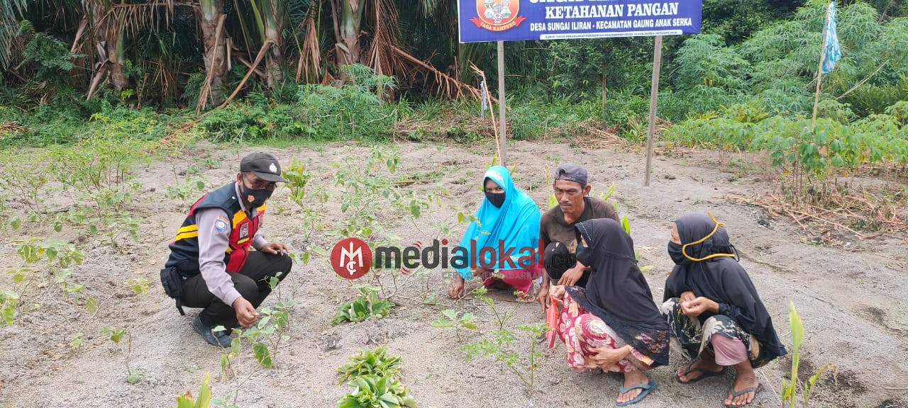 Bhabinkamtibmas Teluk Sungka Polsek GAS Lakukan Pengecekan Hanpangan
