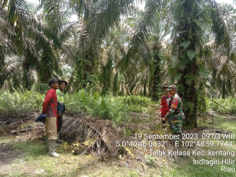 Turun Ke Wilayah Binaan, Babinsa Koramil 09/Kemuning Terus Patroli Untuk Karhutla