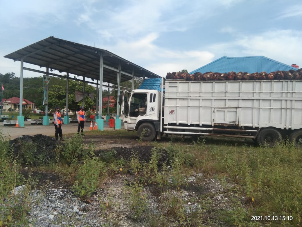 Over Kapasitas, Truk Tronton Angkut Buah Sawit Ditahan UPPKB Muara Lembu
