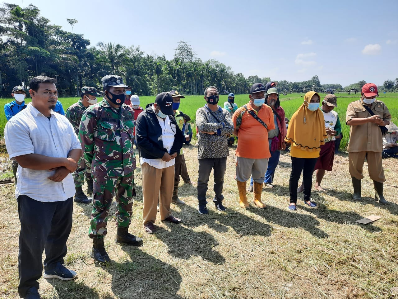 Danramil 03/Tempuling Hadiri Gerakan Pengendalian Hama Bersama Poktan Makmur 