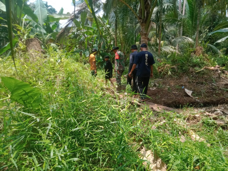 Bhabinsa Koramil 05/GAS Koptu Hutrizaroni Patroli Di lahan Terbuka Area PT. MSK