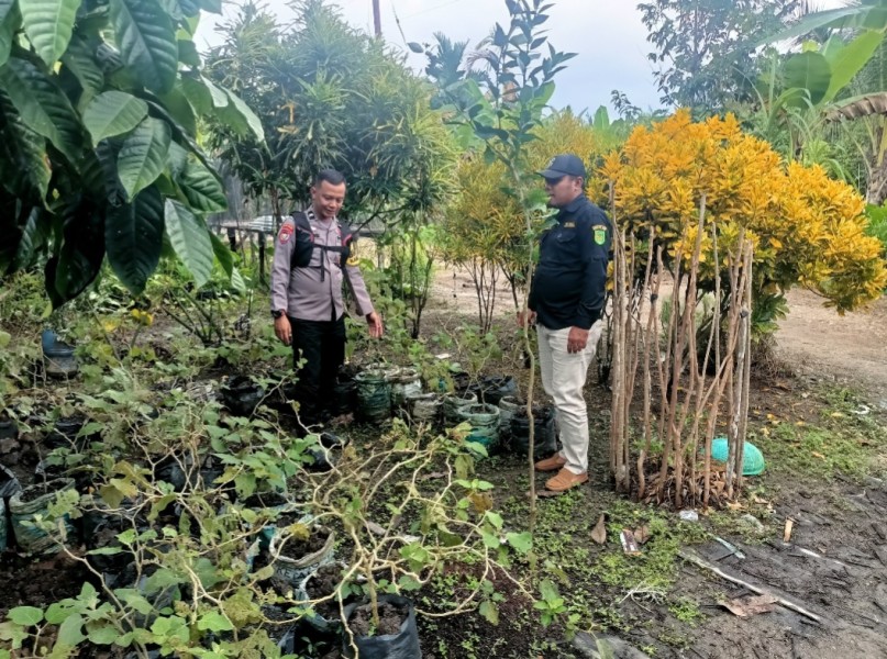 Bhabinkamtibmas Polsek Gas: Pendampingan Petani Kunci Kuatnya Ketahanan Pangan Desa
