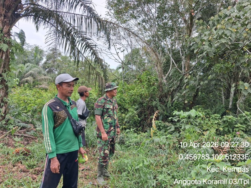 Bersama Warga Setempat, Babinsa Koramil 03/Tpl Laksanakan Patroli Tapal Batas, Pastikan Situasi Aman dan Terkendali