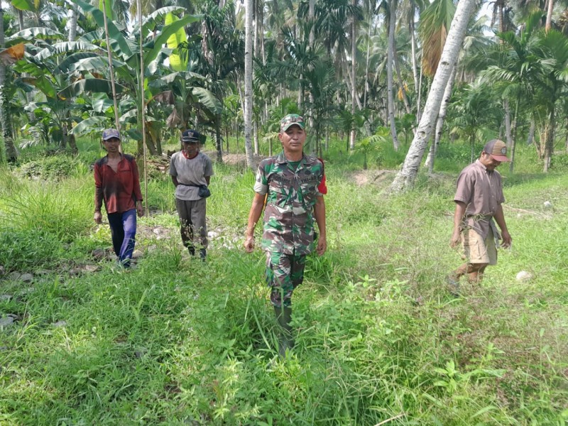 Babinsa Pelda Nofiandi Rutin Melaksanakan Patroli untuk Mencegah Karhutla