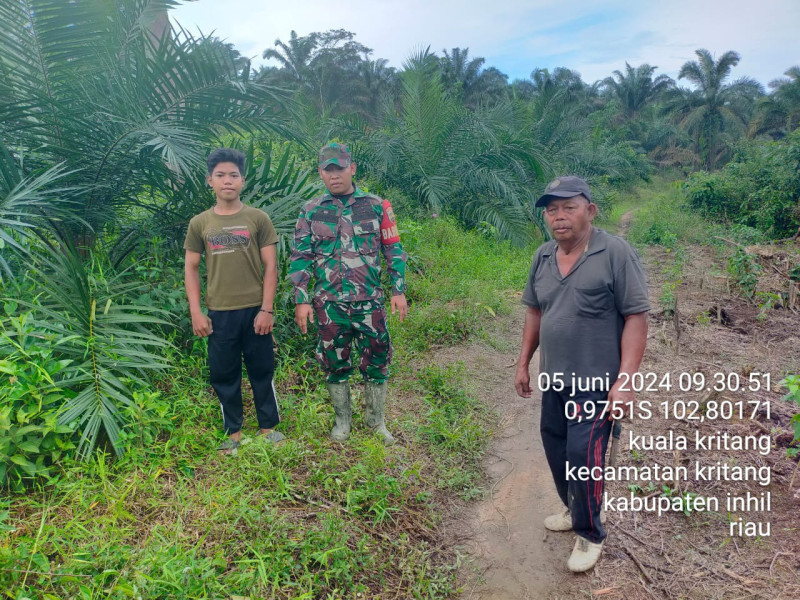 Babinsa Koramil 09/Kmg Himbau Masyarakat Untuk Patroli Karhutla di Binaan