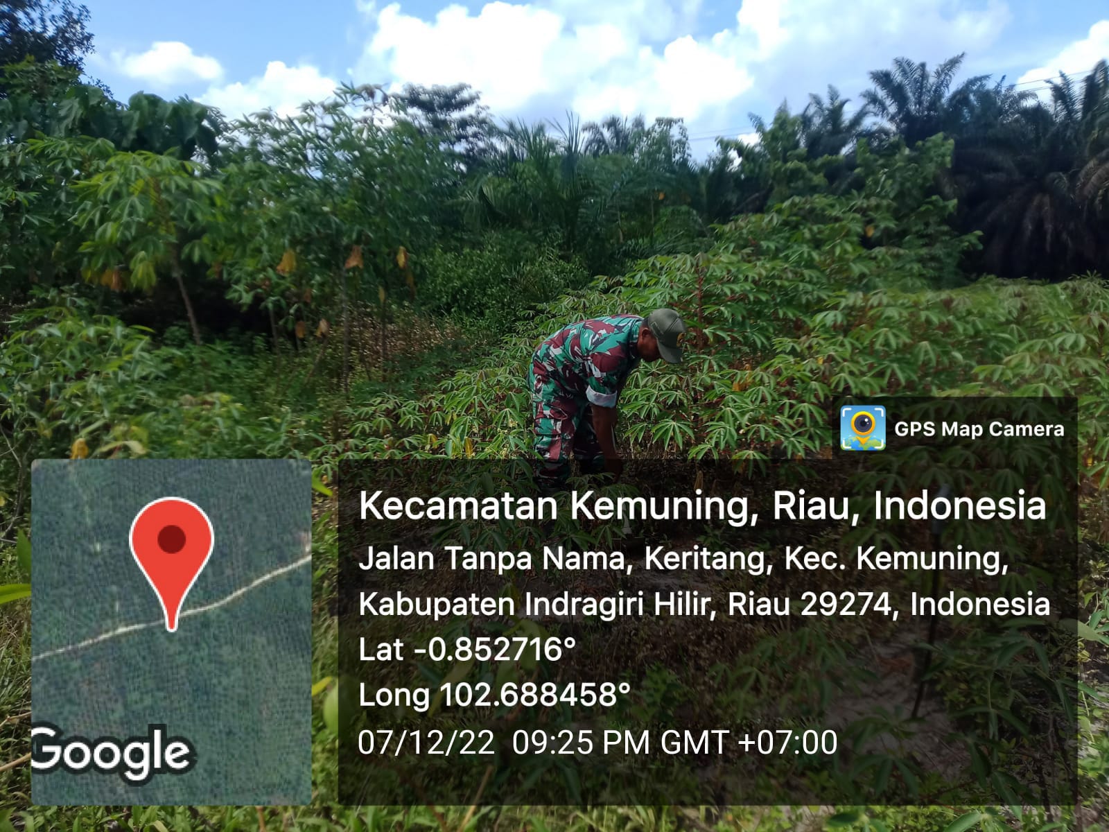 Demi Ketahanan Pangan, Koramil 09/Kemuning Lakukan Pembersihan Gulma