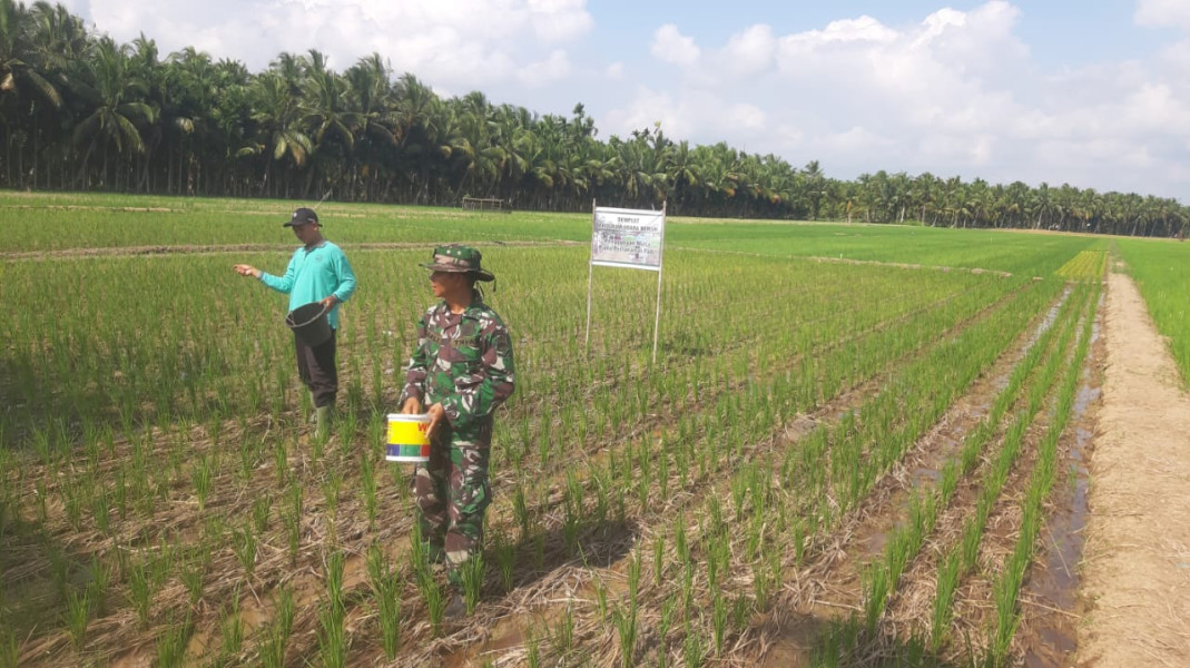 Jalin Hubungan Silaturahmi, Koramil 07/Reteh Laksanakan Komsos Bersama Kelompok Tani dan UPTD Pertanian