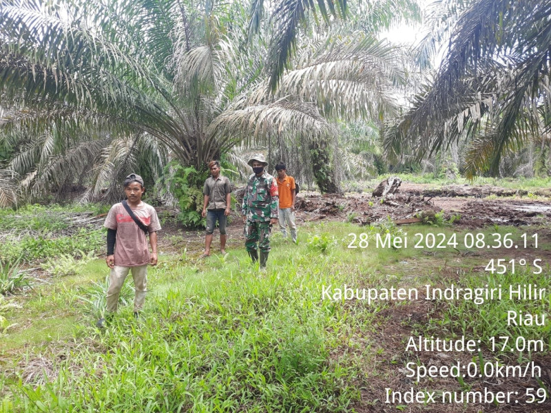 Babinsa Koramil 07/Reteh Rutin Laksanakan Patroli Karhutla Guna Cegah Kebakaran di Binaan