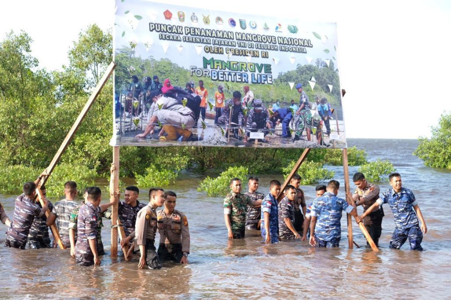 Wakapolda Riau Bersama Danrem 031 WB Pimpin Penanaman Mangrove Nasional Secara Serentak Di Dumai