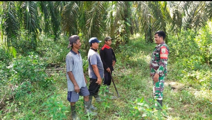 Cegah Karhutla, Babinsa Koramil 03/Tpl Intensifkan Patroli di Wilayah Perbatasan