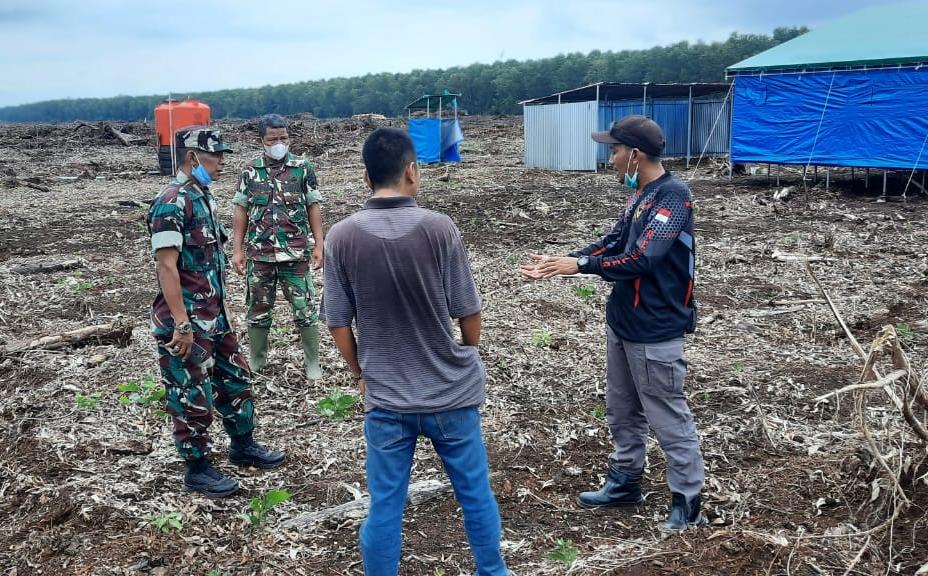 Danramil dan Babinsa 03/Tempuling Pantau Lahan Ketahanan Pangan Di Lahan PT. SRL