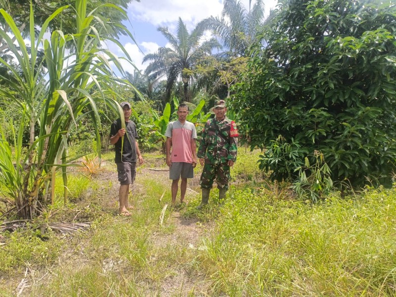 PATROLI TAPAL BATAS DESA HARAPAN JAYA: ANTISIPASI KARHUTLA, TNI BERSAMA MASYARAKAT JAGA PERBATASAN TANPA API