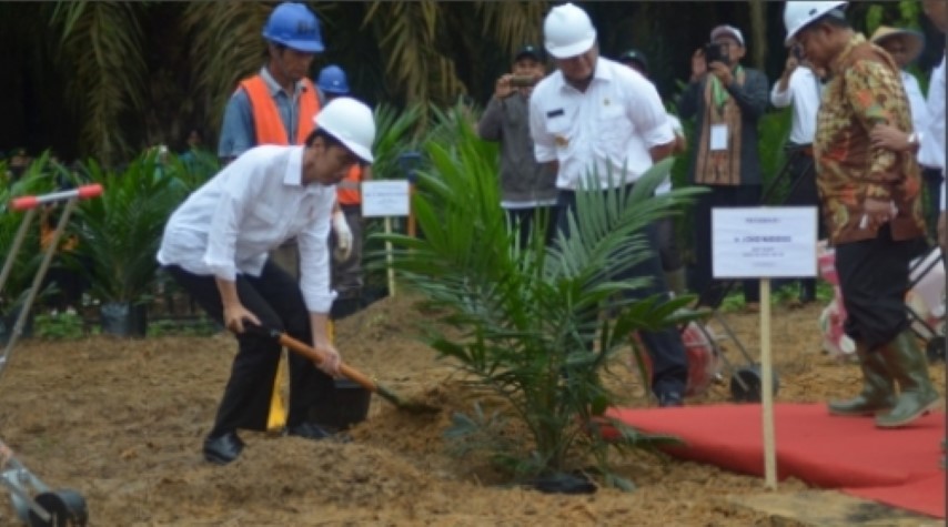 Di Kabupaten Rohil, Jokowi akan Resmikan Program PSR Peremajaan 328 hektare Lahan Sawit