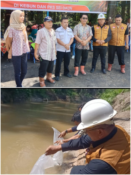 Dalam Rangka Perduli Lingkungan Sedunia, Kebun Dan PKS PTPN IV Regional 1 Sei Daun Tanam Bibit Pohon Dan Menyebarkan Bibit Ikan