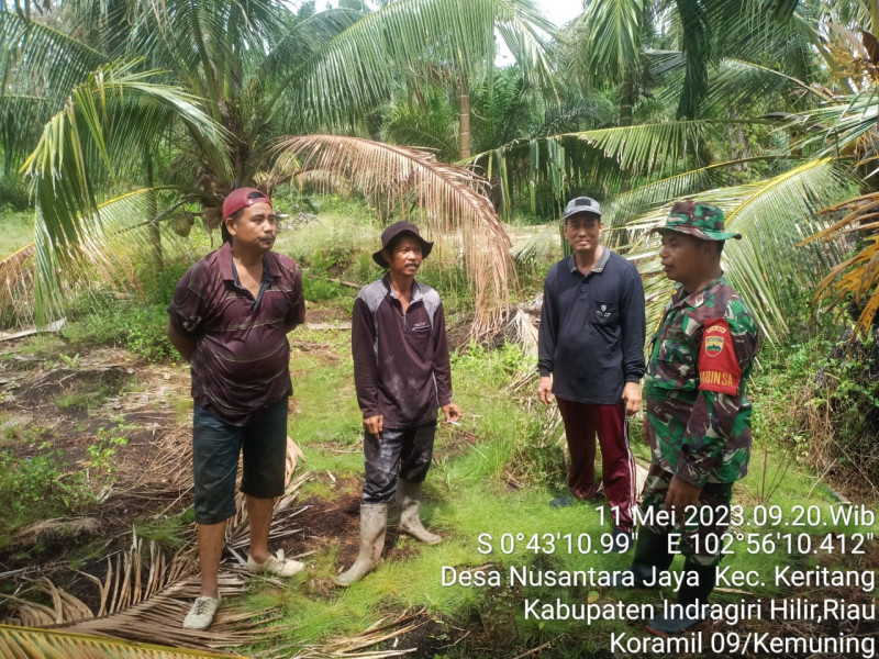 Sosialisasi dan Pencegahan Karhutla Bersama Babinsa Koramil 09/Kemuning