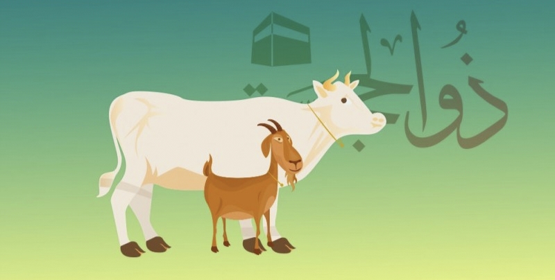 PWI Riau akan Sembelih 5 Ekor Sapi Tahun ini,Rencananya dihadiri Gubernur Riau