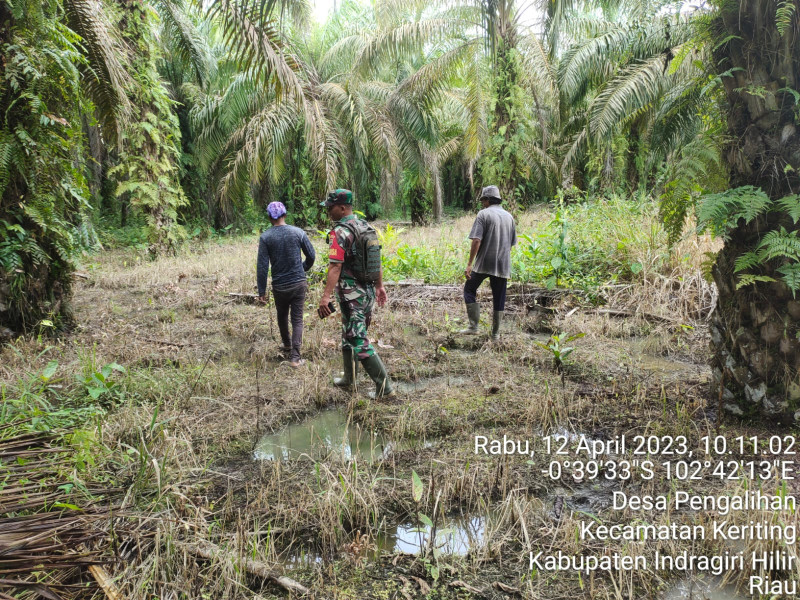 Babinsa Koramil 09/Kemuning Jaga Hutan dan Lahan di Binaan