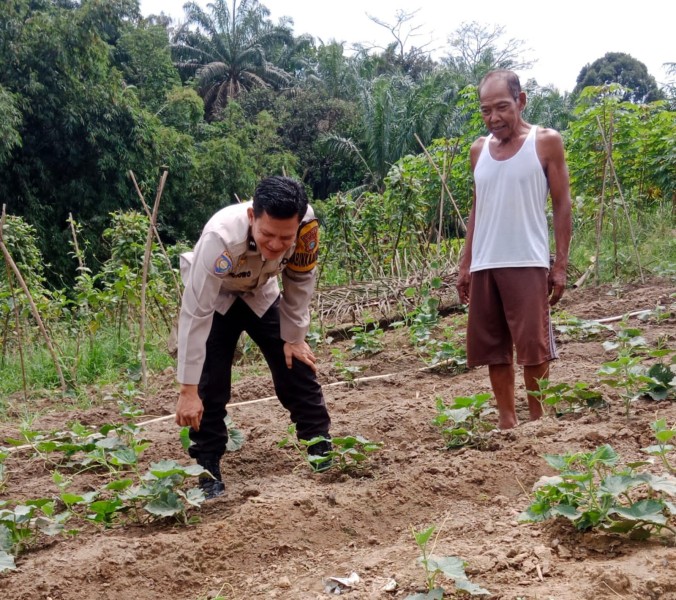 Polri Menanam Di Batu Ampar: Aipda Desi Sutowo, Kalau Tanah Dirawat, Negara Tidak Akan Kekurangan