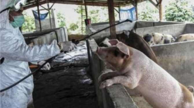 Hati-hati!! Virus Baru Kembali Muncul dari China    Hati-hati!! Virus Baru Kembali Muncul dari China