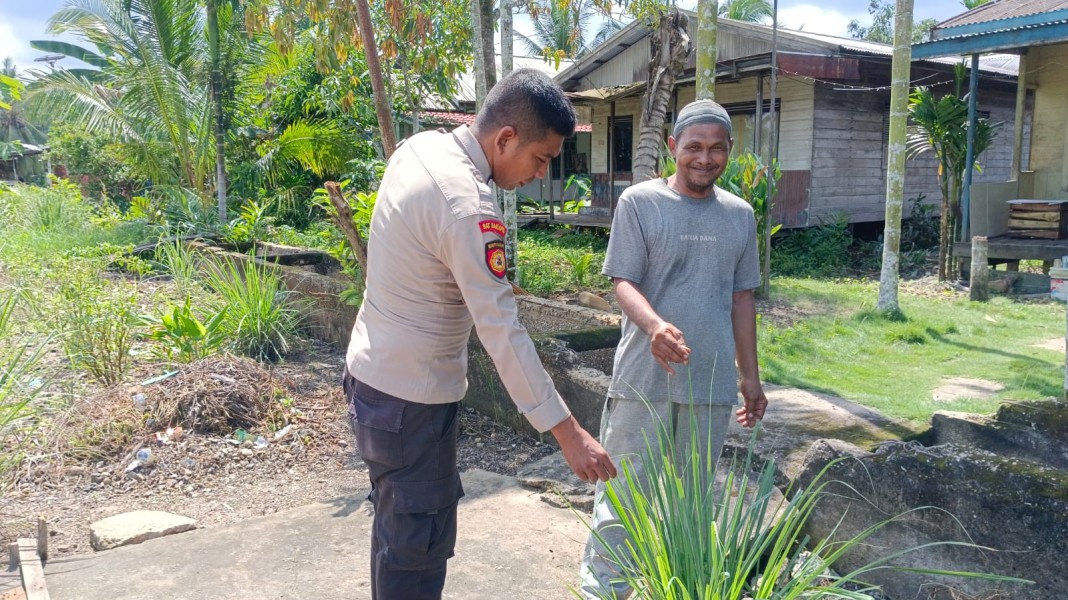 Dari Cabe hingga Jahe Merah, Personel Polsek Enok Pacu Produktivitas Lahan Lorong Veteran