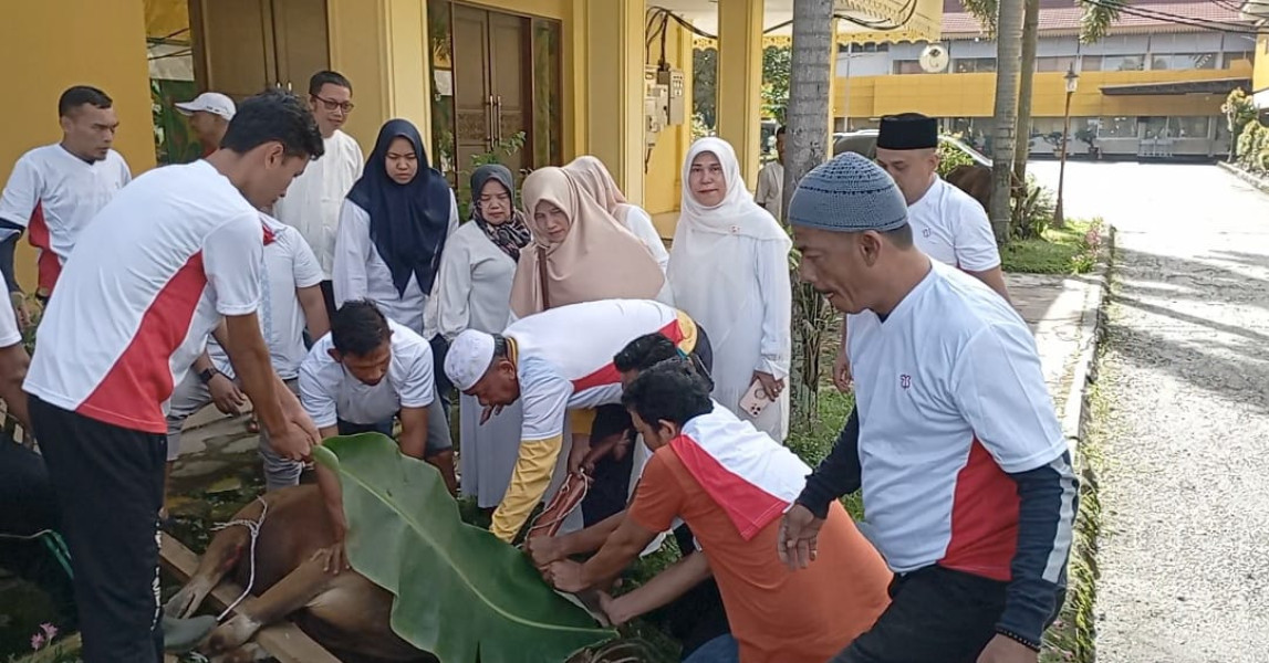 Disdik Riau Korbankan Enam Ekor Sapi