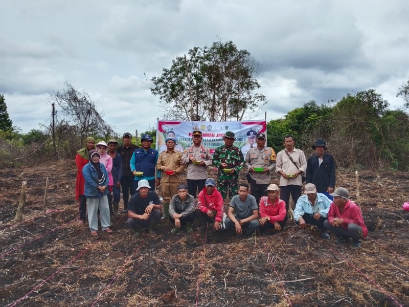 Babinsa Koramil 05/Gas Serma Tota Simbolon Dampingi Masyarakat Tanam Jagung di Desa Teluk Merbau