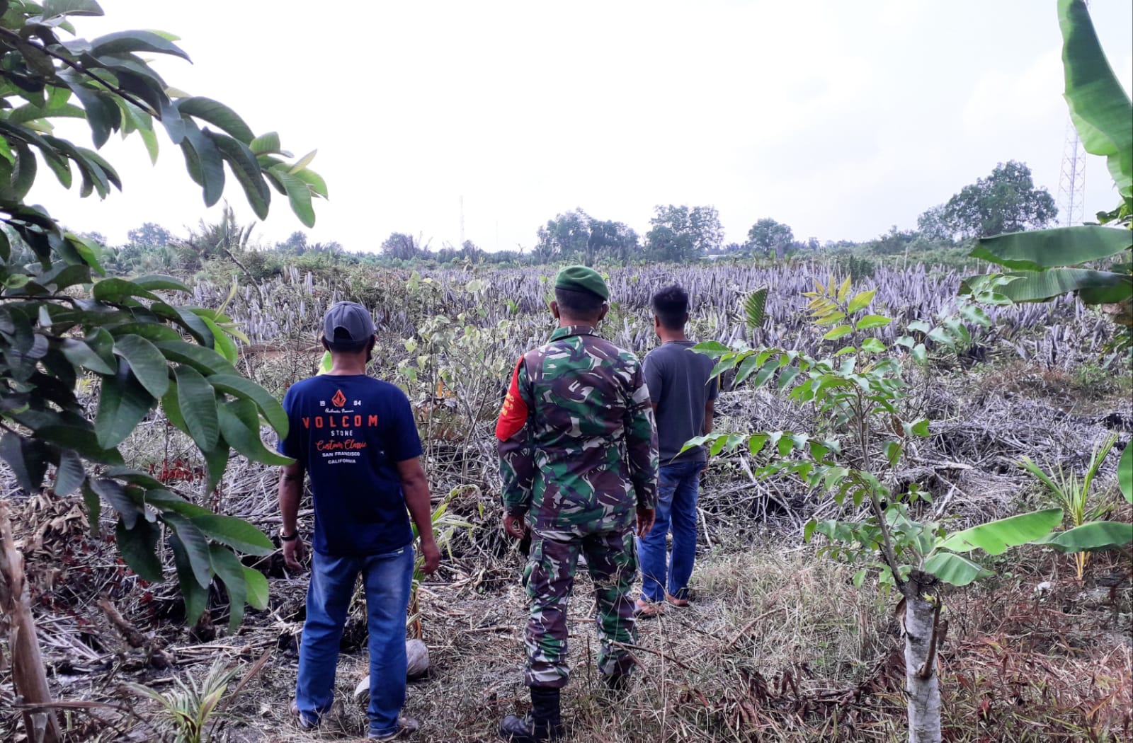 Pencegahan Kebakaran Hutan dan Lahan Selalu Dilakukan Babinsa Koramil 04/Kuindra