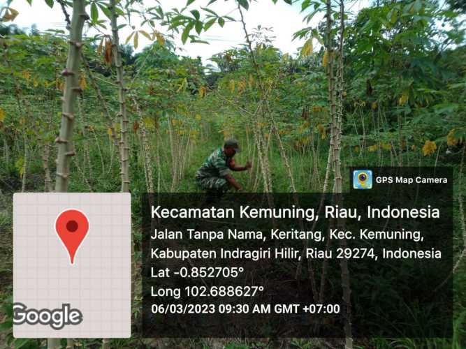 Giat Ketahanan Pangan Oleh Koramil 09/Kemuning di Desa Binaan