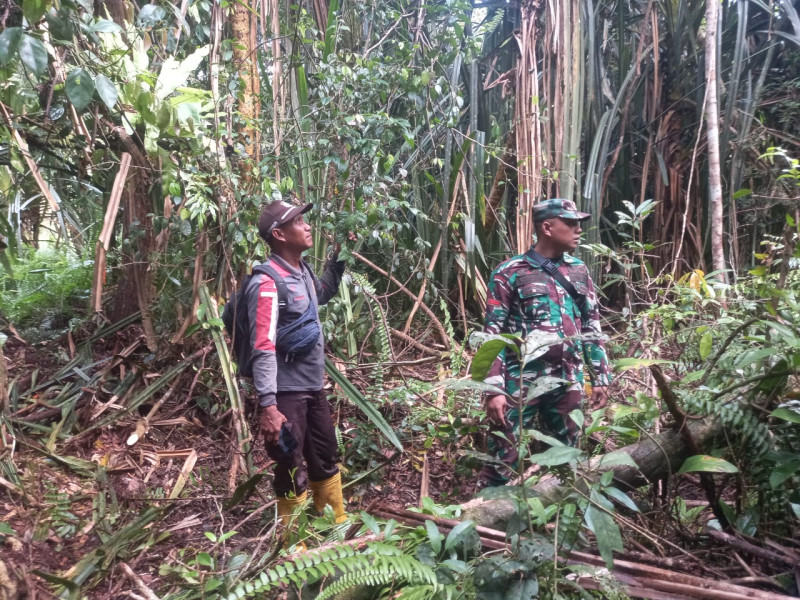 Babinsa 05/Gas Pratu Sandi Wahyudi Rutin Laksanakan Patroli Karlahut