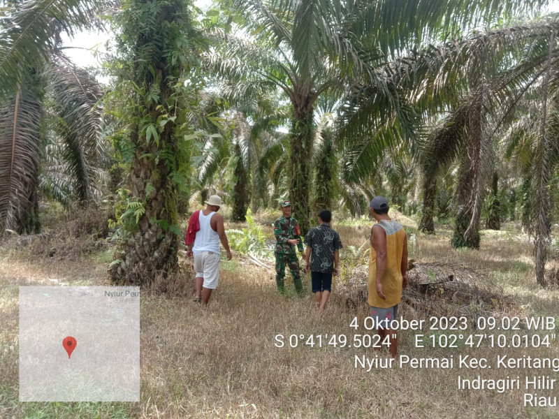 Babinsa Koramil 09/Kemuning Lihat Perkembangan Situasi Keadaan Wilayah Desa Nyiur Permai