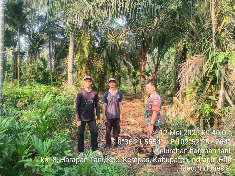 Pantau Wilayah, Serka N. Sipayung Mencegah Karhutla Dengan Patroli di Kelurahan Harapan Tani