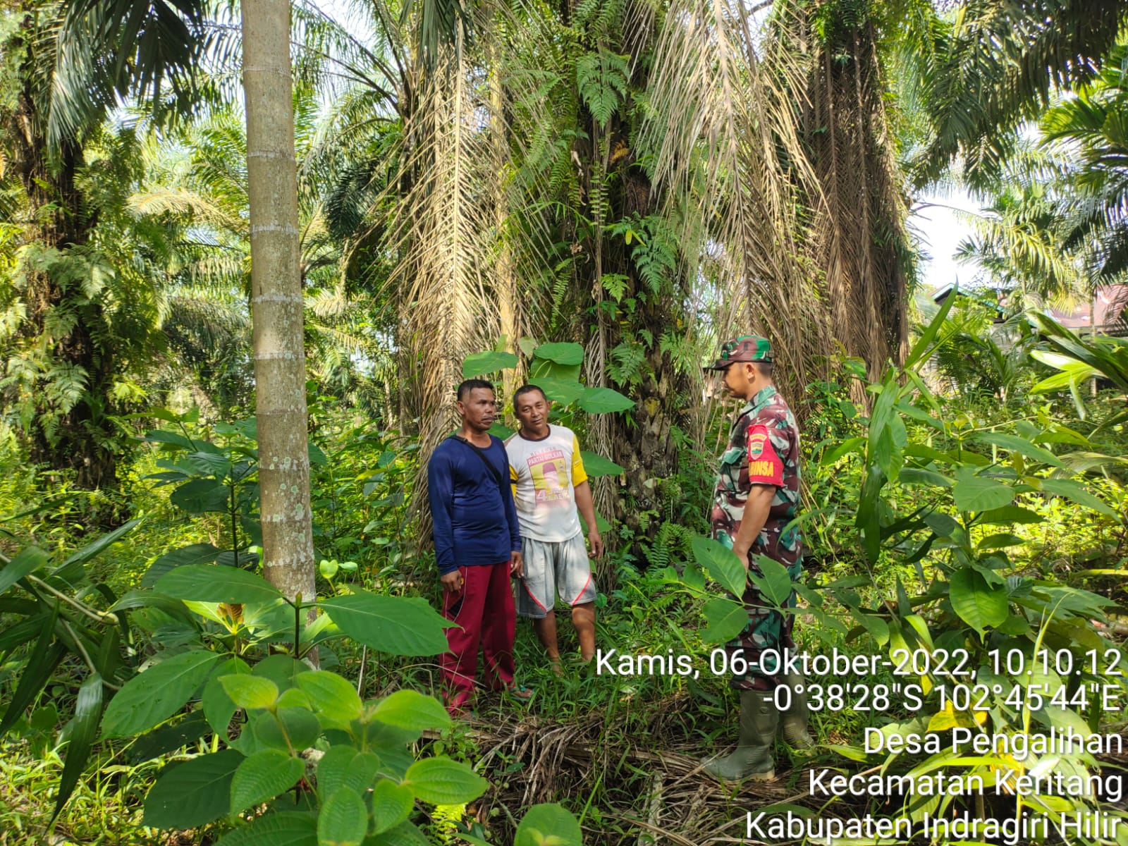 Demi Menjaga Hutan dan Lahan, Babinsa Koramil 09/Kemuning Rutin Lakukan Patroli dan Sosialisasi