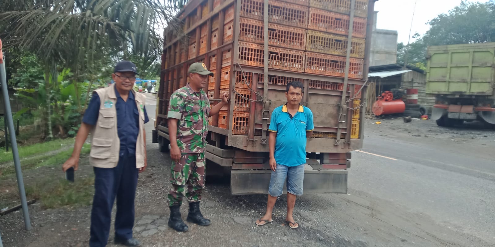 Pemeriksaan Hewan Ternak Oleh Serka M, Ridwan