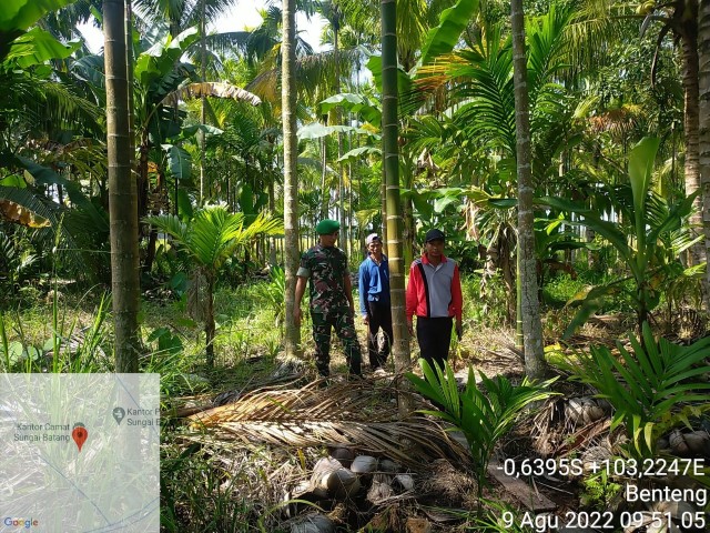 Sertu Bendri Gencar Lakukan Patroli Karhutla di Benteng