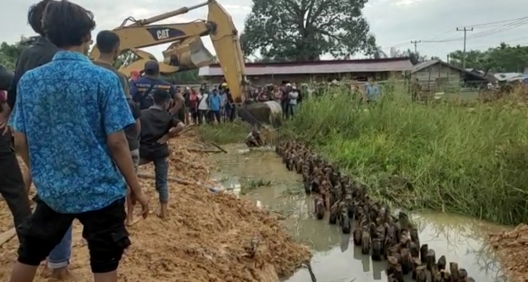 Penumbuk Bakau Timpa Kepala, Pengerjaan SPBU di Tempuling Renggut Nyawa
