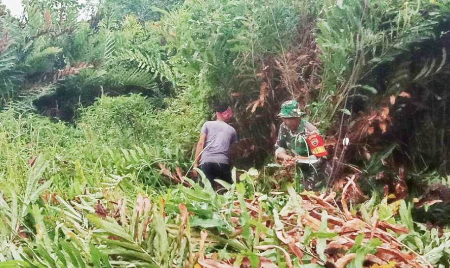 Pelaksanaan Goro Bersama Babinsa Koramil 04/Kuindra dan Masyarakat