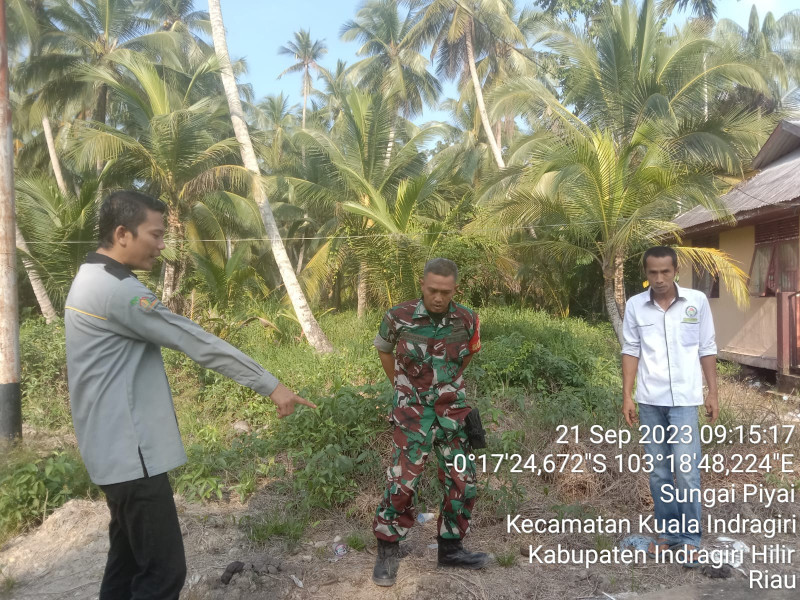 Turun Ke Wilayah, Babinsa Koramil 04/Kuindra Jaga Lahan dan Hutan