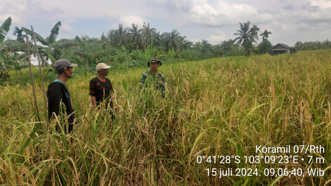 Dengan Komsos, Koramil 07/Reteh Juga Dampingi Hampangan Reteh Bersama Warga