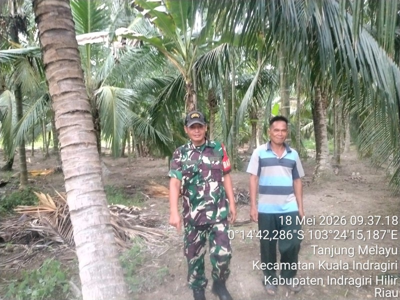 Patroli Pagi Di Tanjung Melayu, Serda Ali B. Harahap Pastikan Wilayah Bebas Karhutla